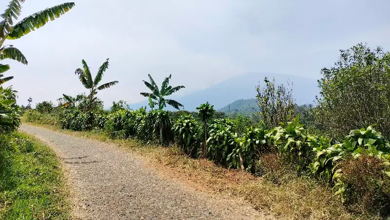 Tanah Murah Dijual di Bumiaji  Batu