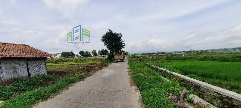 Dijual tanah sawah belakang pom bensin Teras Boyolali