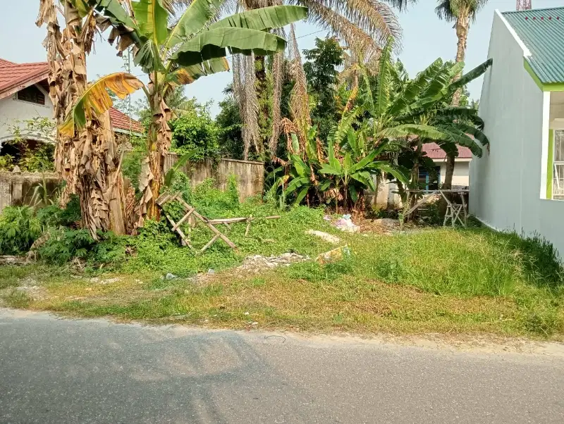 Tanah kecil di bukit barisan Harapan Raya