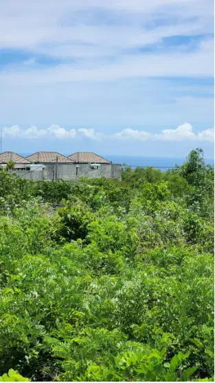 Tanah sewa view laut di ungasan