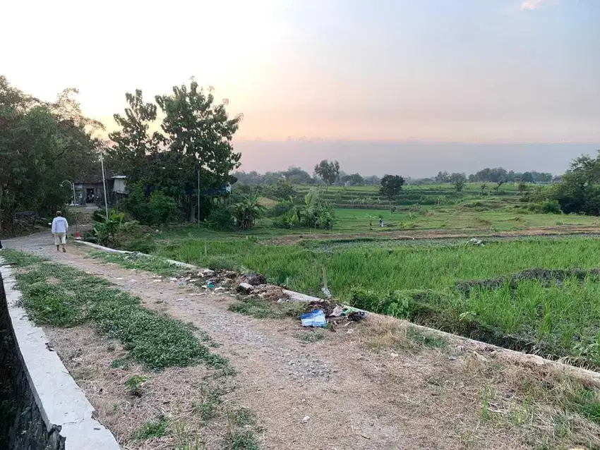 Tanah Muraahhh Sekali Prospektif di Kedawung, Sragen