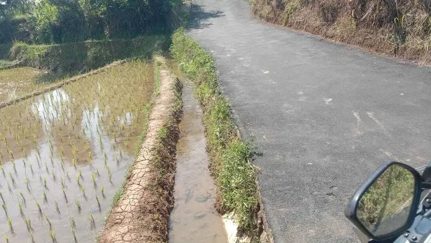 Tanah sawah produktif nempel jalan mobil dan irigasi air bagus