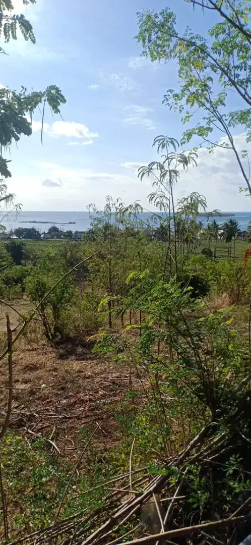 Tanah Sekotong Barat view Pantai Nego Sampe Deal