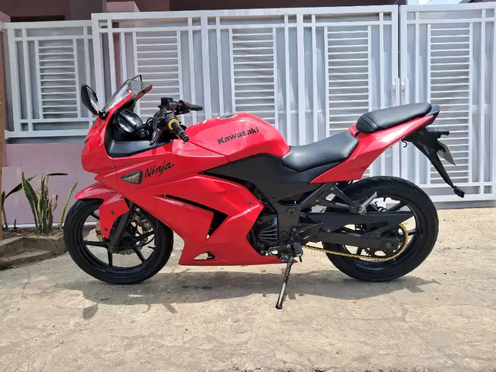 Ninja 250 Karbu