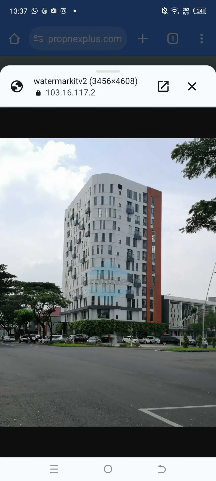 Dijual RUGI 3 office room Royal 55