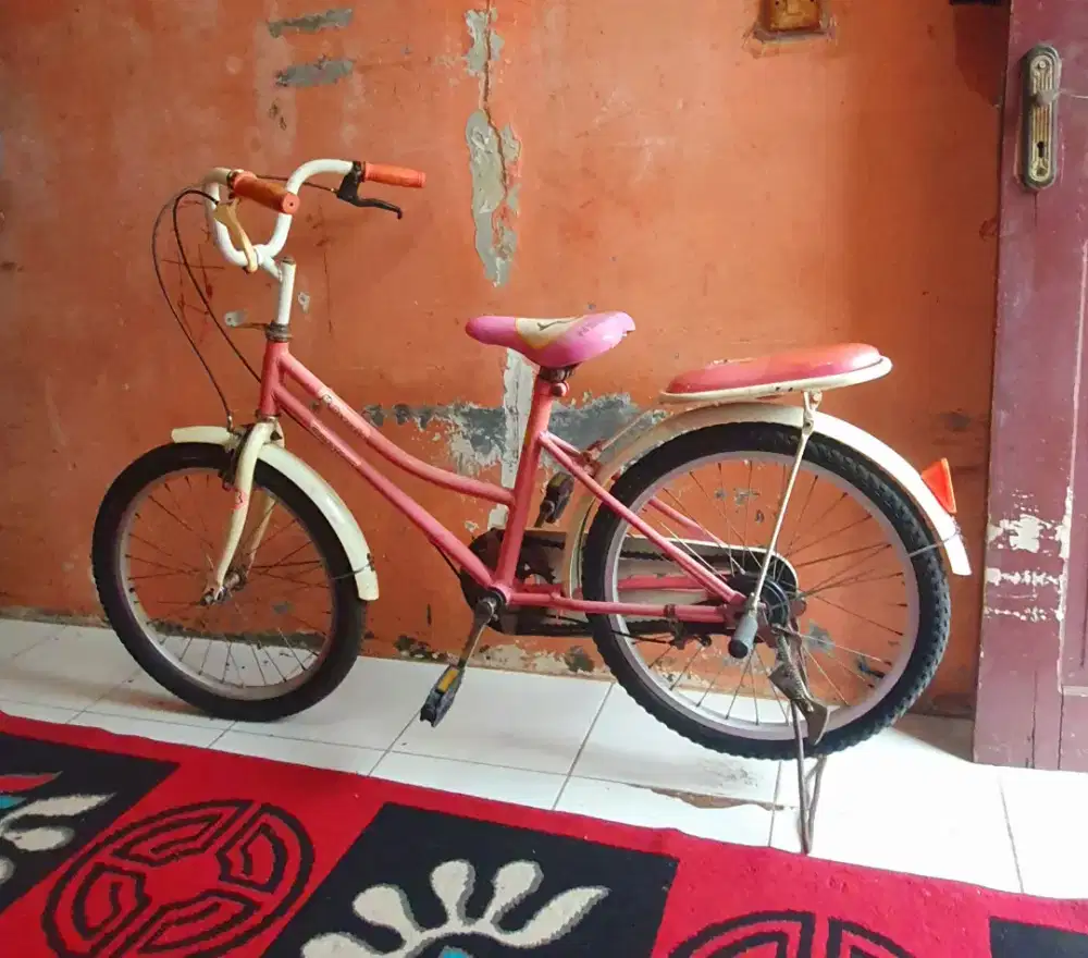 SEPEDA ANAK UKURAN 20INCHI BISA KIRIM KESELURUH INDONESIA
