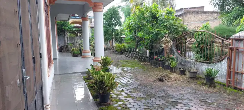 Rumah Murah samping mesjid (nego tipis)