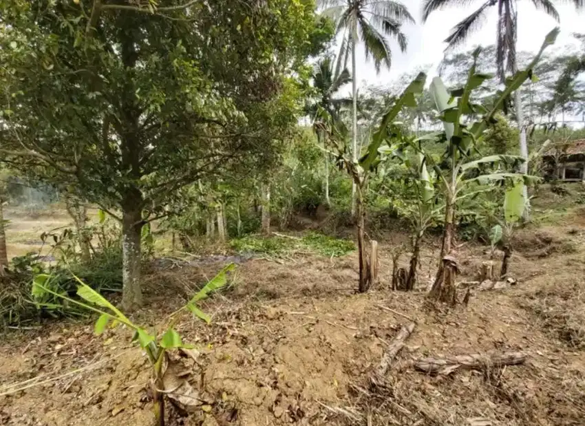 Tanah Ladang Produktif Kab Kuningan