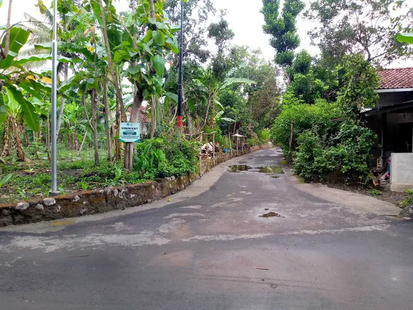 Tanah pekarangan SHM Sindumartani, Sleman