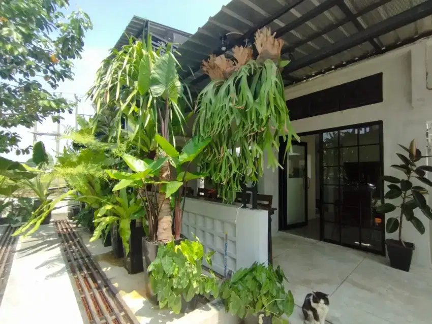 Rumah 2usaha produktif kawasan UNDIP graha estetika 1km exit tol