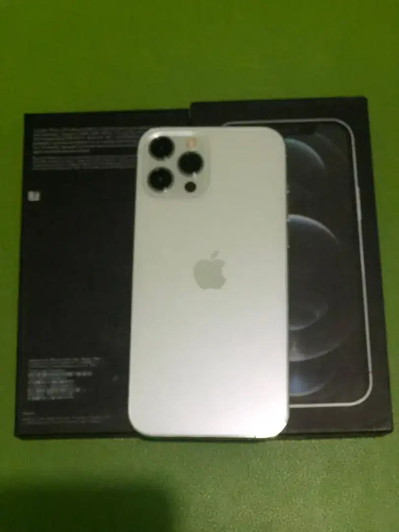 IPHONE 12 PRO MAX 256Gb Bekas Istimewa Warna Silver (Putih)