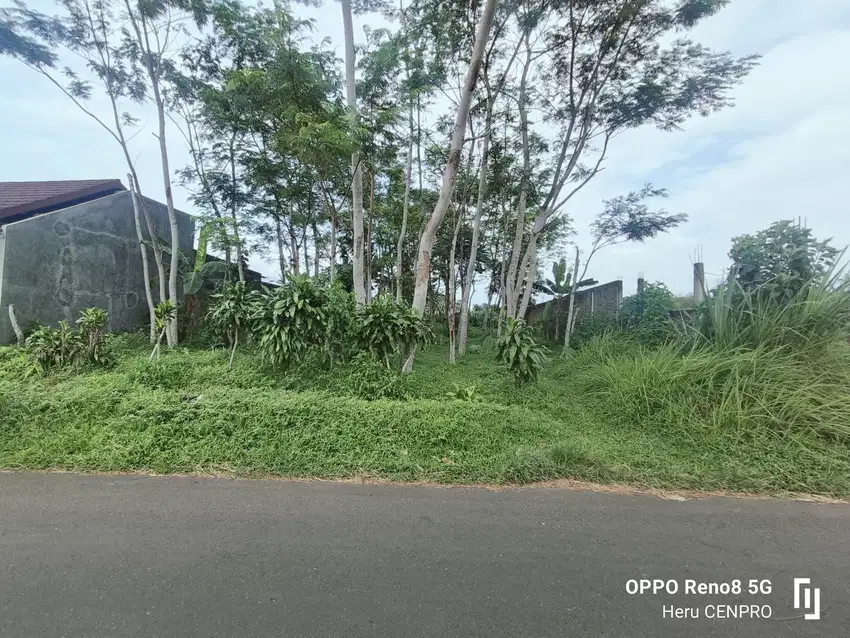 Tanah kosong asri view gunung Slamet Karanggintung Purwokerto Banyumas