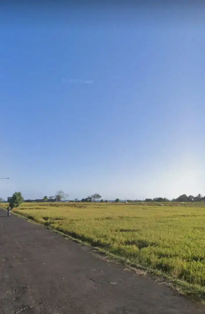 Jual tanah view sawah,pantai rambut siwi  Jembrana Bali barat