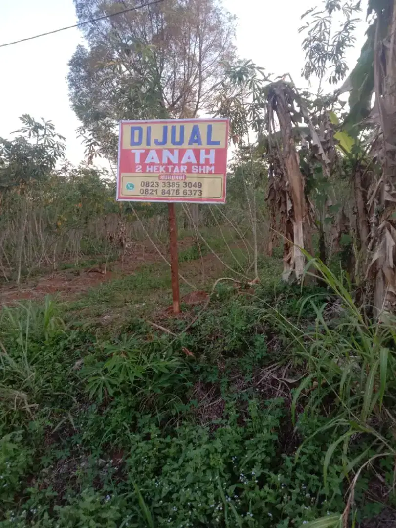 Dijual Tanah 2,5 HA