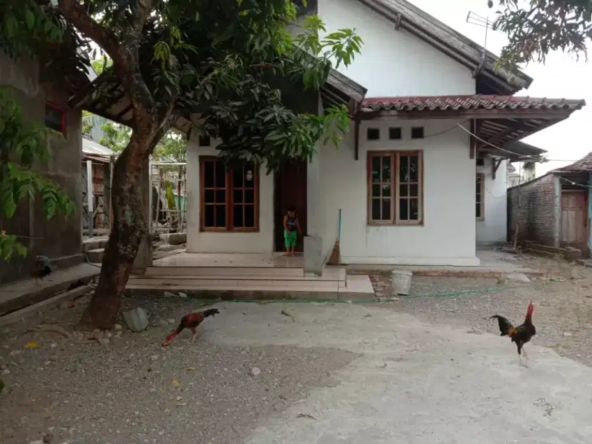 Di jual rumah siap huni