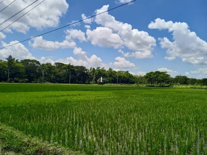 Dijual Tanah Zona Merah Industri Luas 7,8 Ha Lokasi Pedan,Klaten