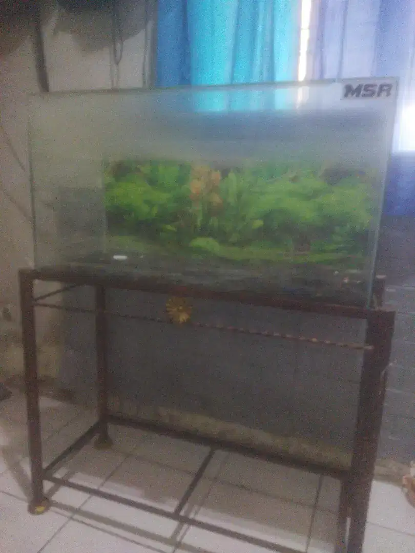 Aquarium ikan dan Rak nya