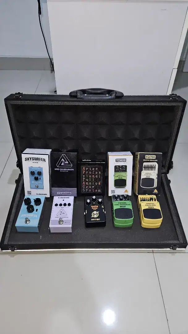 Effect Gitar Set (with Case)