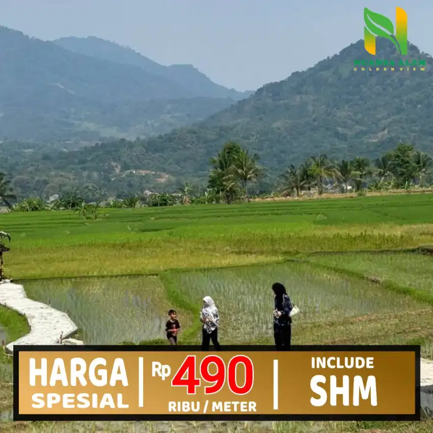 KAVLING SAWAH MURAH NUANSA PEGUNUNGAN