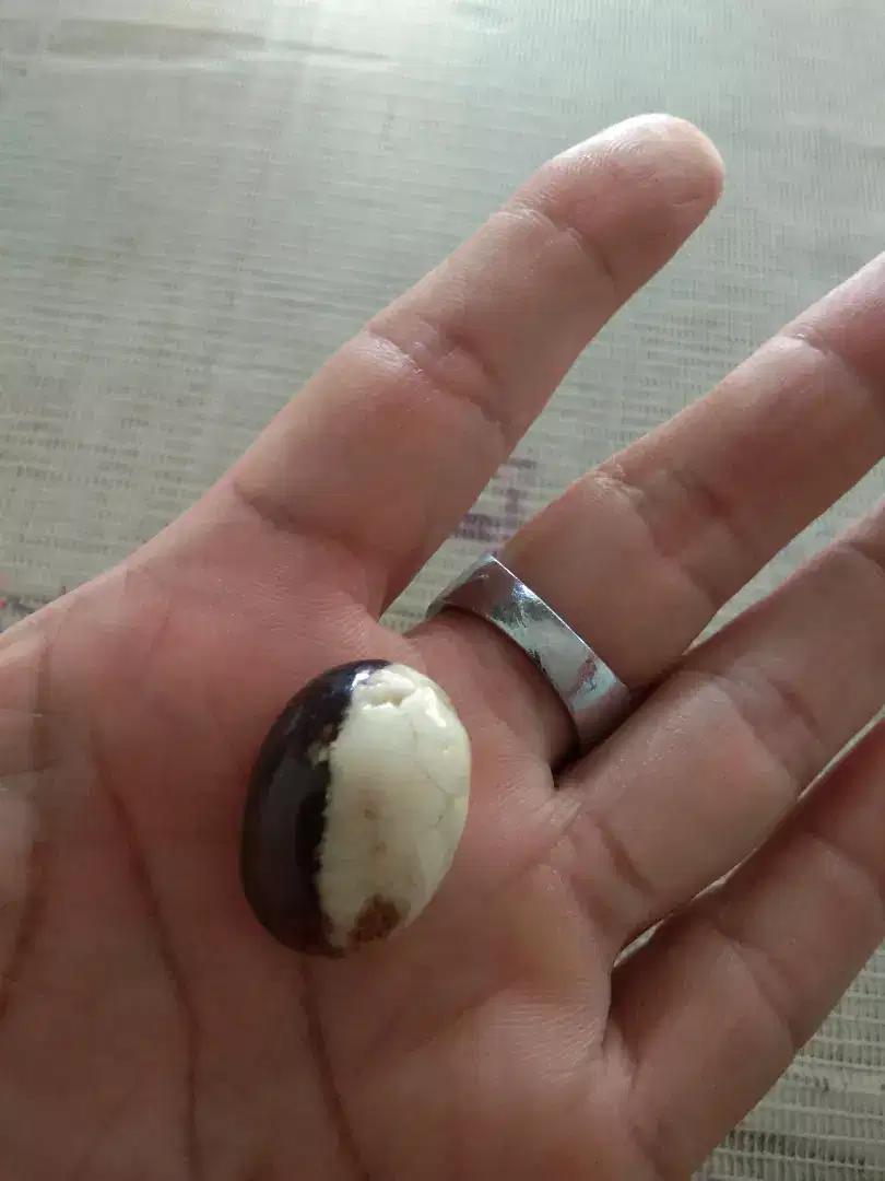 batu katilayu buat cincin