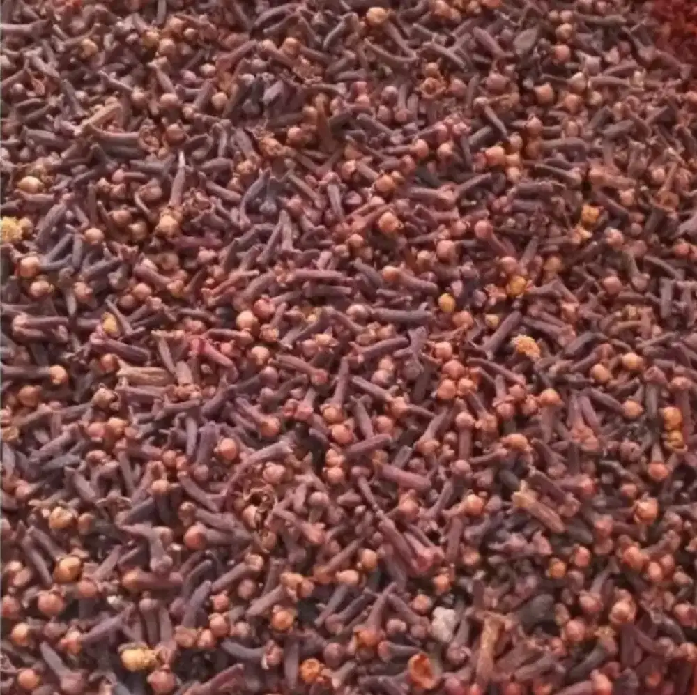 Cengkeh kering premium harum & presh ecer/grosir