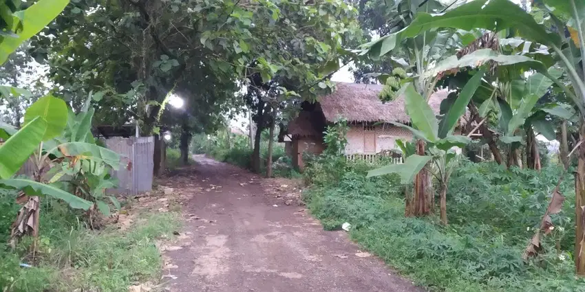 Tanah Dekat Stadion Pekansari Bisa cicil tanpa Bunga