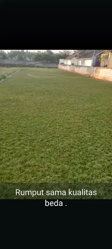 Rumput taman dan pemasangan