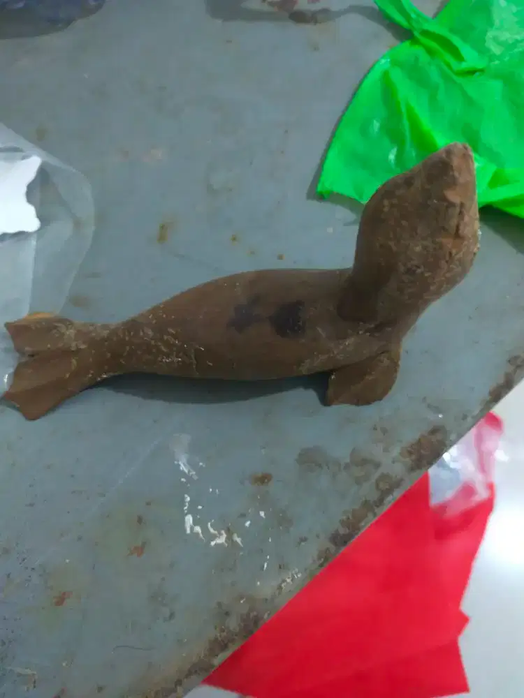 Parung ikan duyung warna coklat