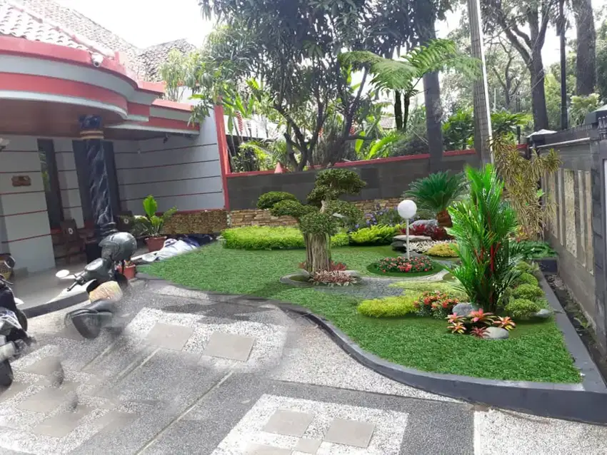 TUKANG TAMAN BANDUNG KIDUL | PASANG RUMPUT GAJAH MINI DAN JEPANG