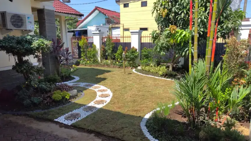 TUKANG TAMAN MINIMALIS CIMAHI | PASANG RUMPUT GAJAH MINI DAN JEPANG