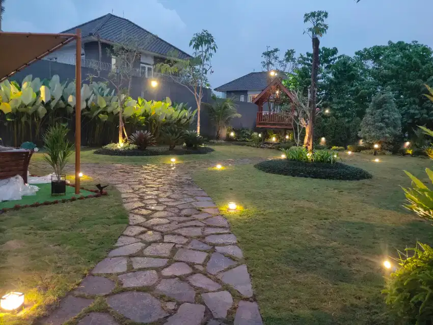 JUAL BONSAI, PULE DAN RUMPUT GAJAH MINI / PEKING, BIKIN TAMAN MURAH