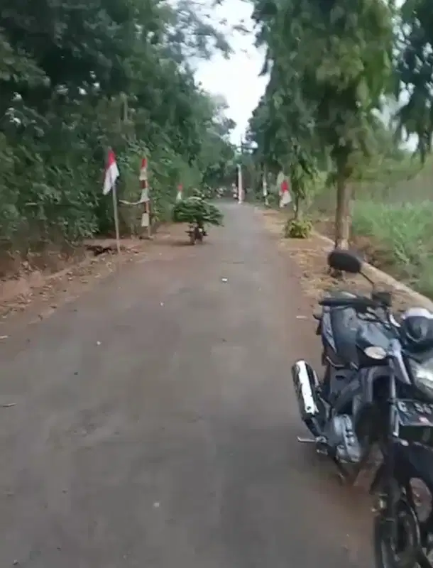 tanah ploting kuning di kab pemalang