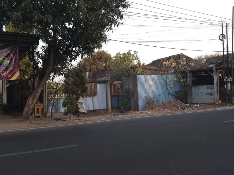 jual tanah nol jalan raya Sukorejo