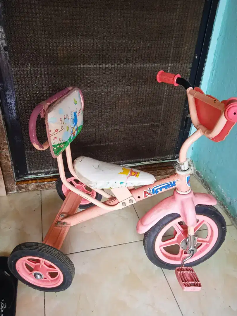 Sepeda Roda 3 Tricycle Arava Alrex Cat