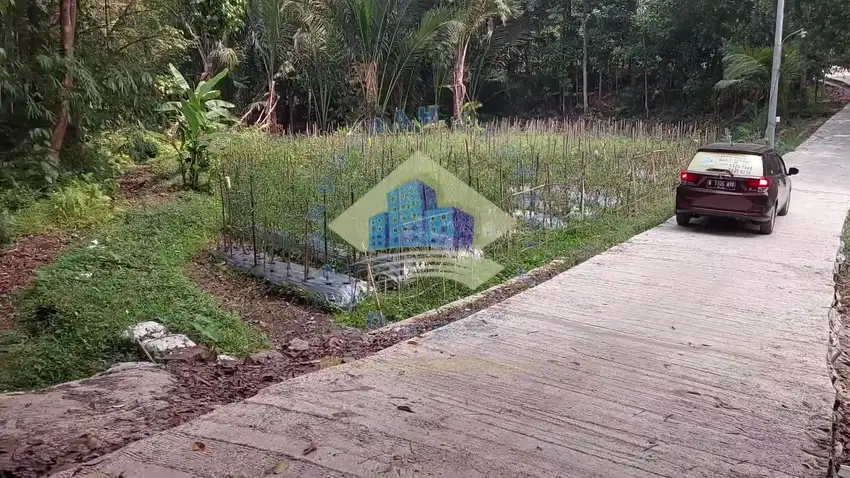 Dijual tanah kebun Durian di ds Mekarbaru - Petir, Serang Banten