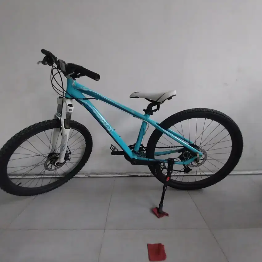 Sepeda gunung Mtb Polygon Cleo 2.0