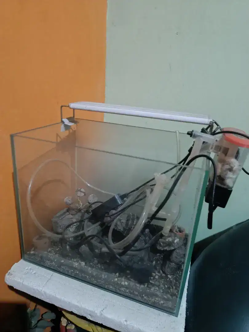 PAKET MINI AQUARIUM DEPOK