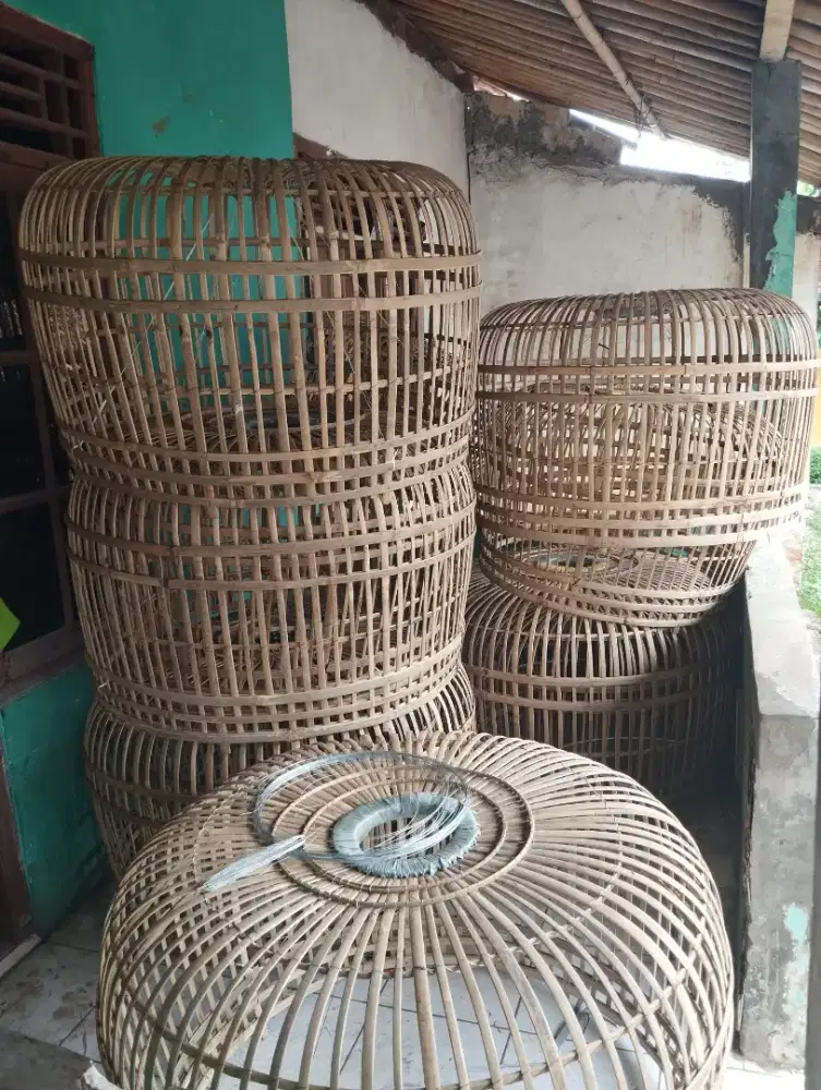 Kurungan ayaam bangkok buat muter