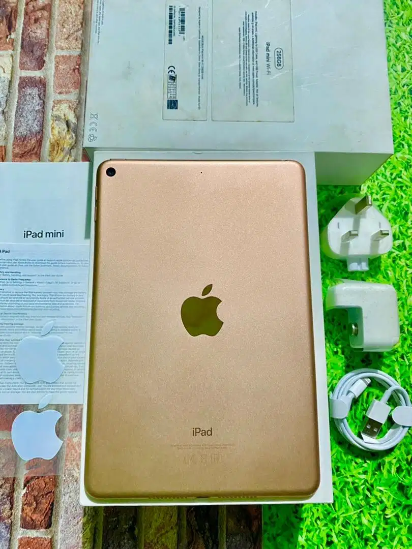 iPad Mini 5 256GB Rose Gold Wifi Only Ciamik