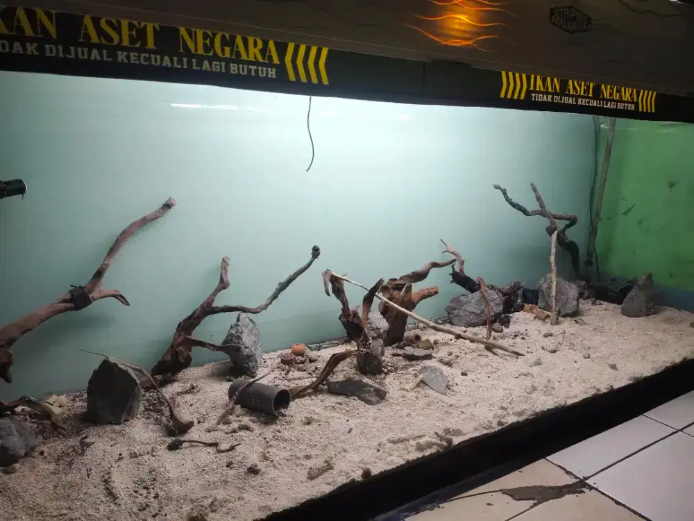 Jual cepat aquarium