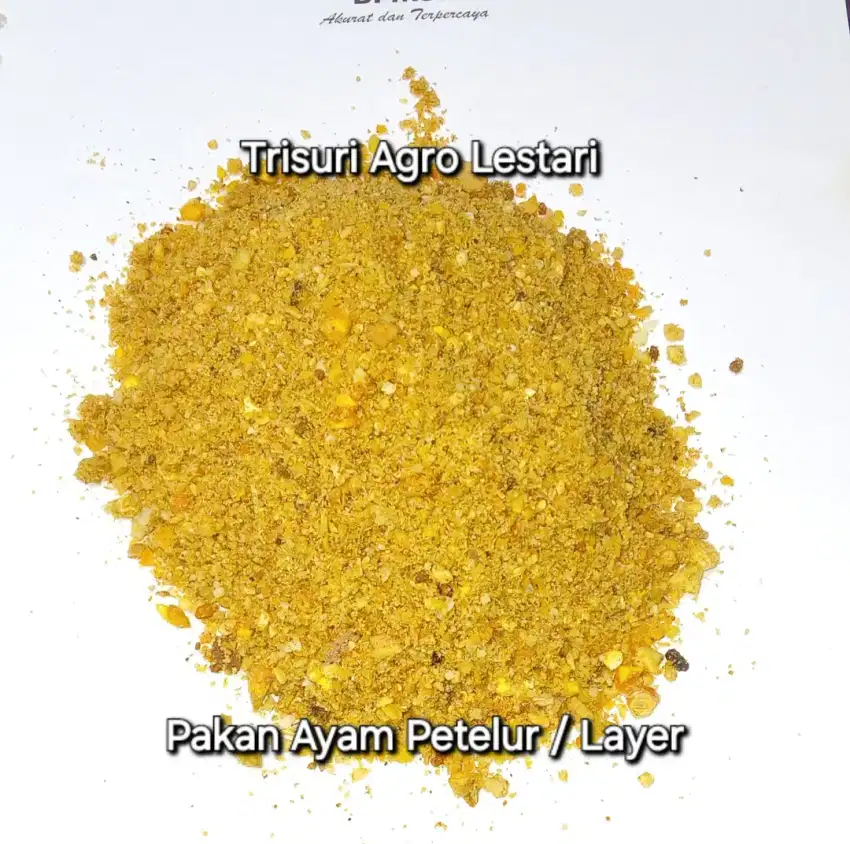 Pakan Layer / Pakan Petelur