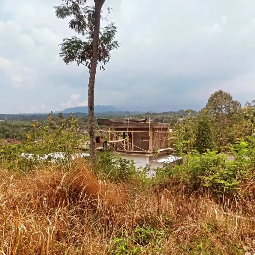 Tanah murah Karangpandan Karanganyar