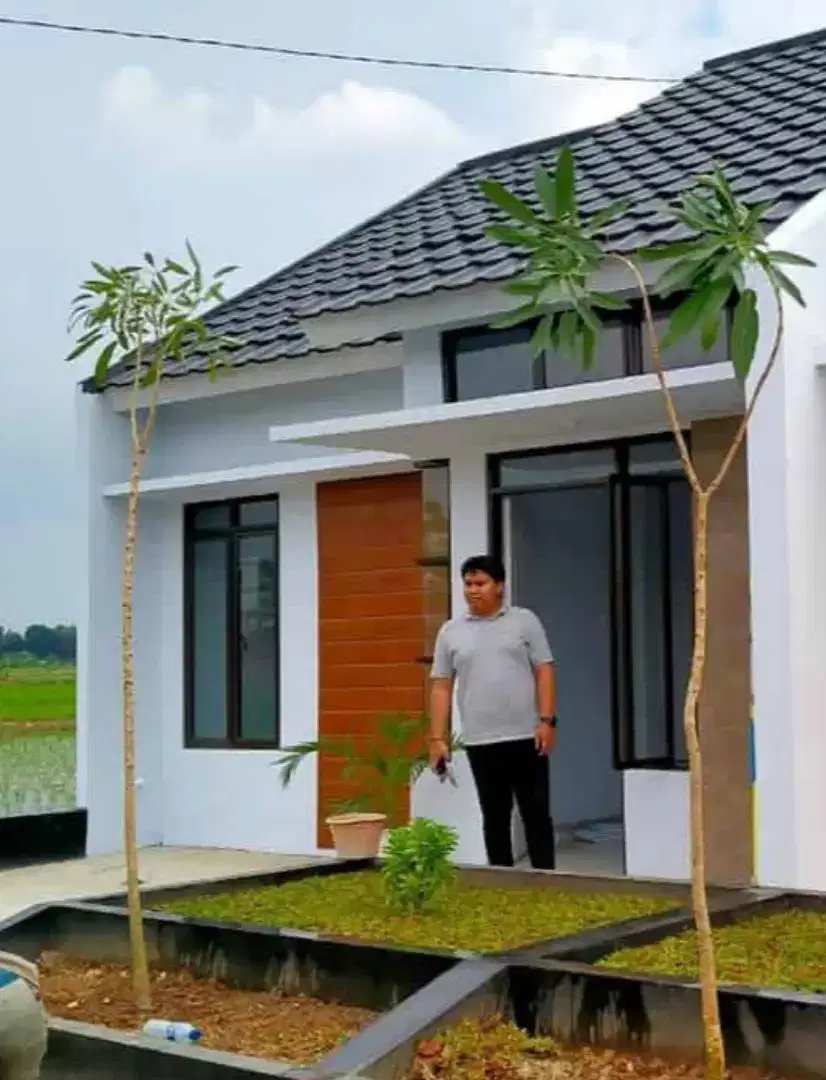 RENOVASI & Bangun Rumah Murah