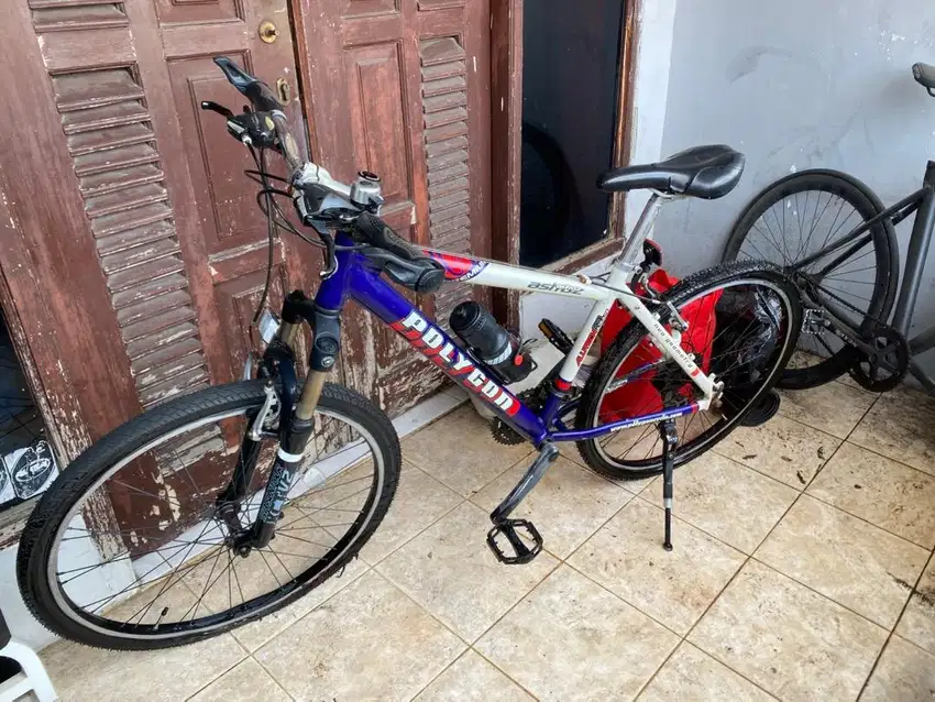 MTB POLYGON ASTROZ