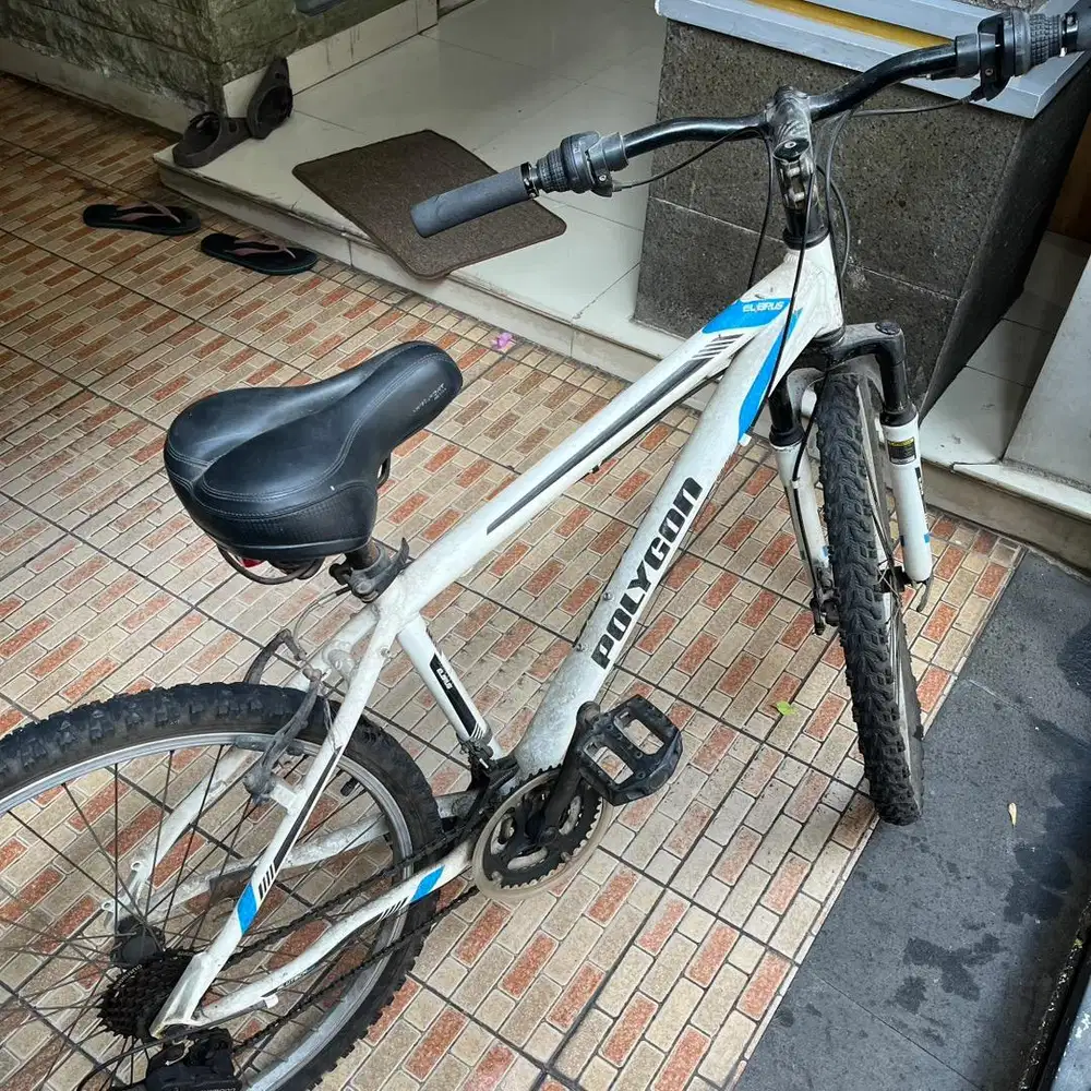 Sepeda MTB Polygon Elbrus Original