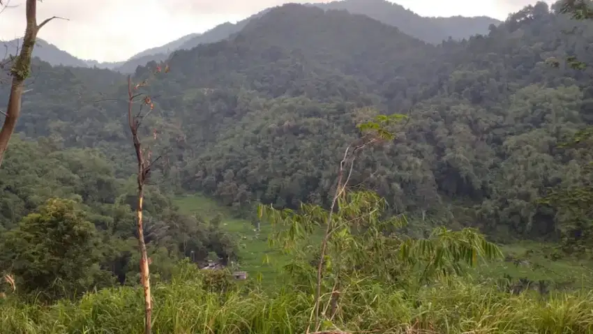 Tanah rata untuk villa+rumah sangat strategis view lepas banget