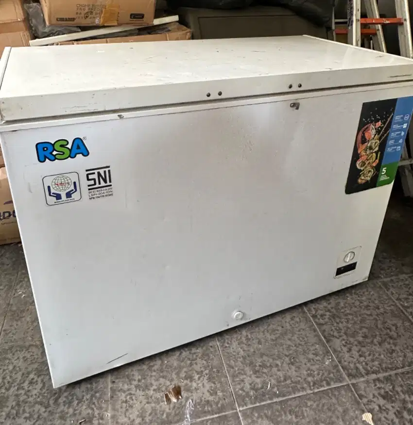 Freezer RSA 300 L