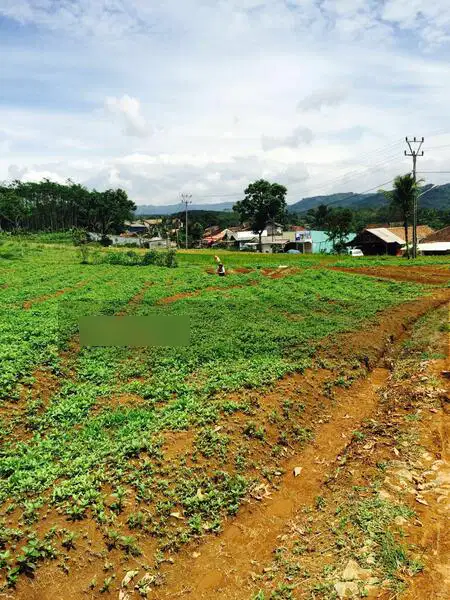 Dijual Tanah Perkebunan Sukabumi Selatan