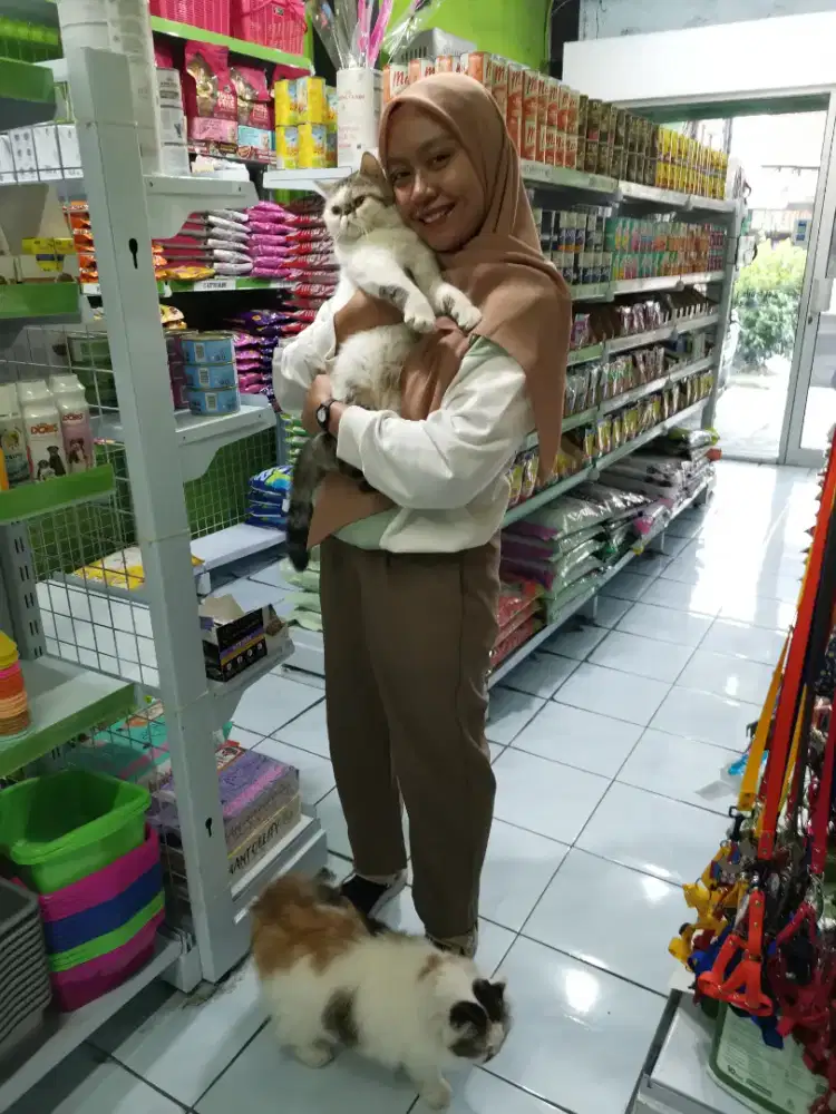 Lowongan Kerja Karyawati Petshop