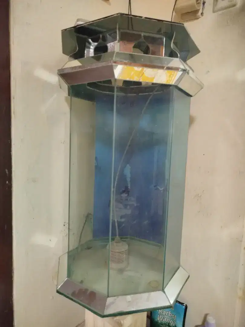 Aquarium tinggi 75cm